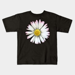 daisy flower, blooming daisies, bloom, blossom Kids T-Shirt